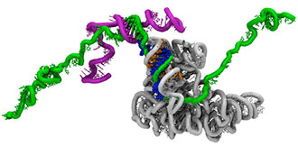 The switches control cellular metabolism with exquisite precision